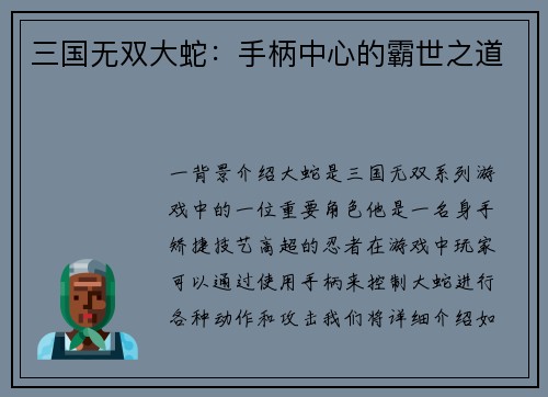 三国无双大蛇：手柄中心的霸世之道